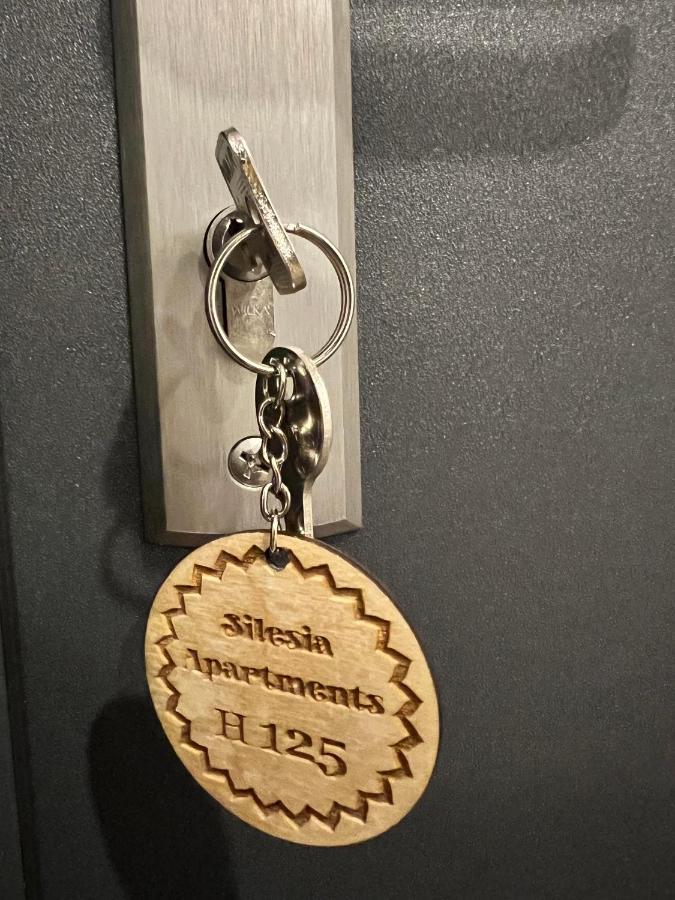 Silesia Apartments Ustron H125 エクステリア 写真